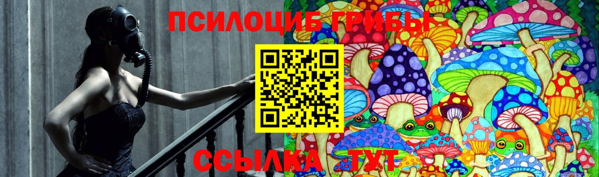 наркотики  Псилоцибиновые грибы GOLDEN TEACHER  Вход с VPN  Минеральные Воды 