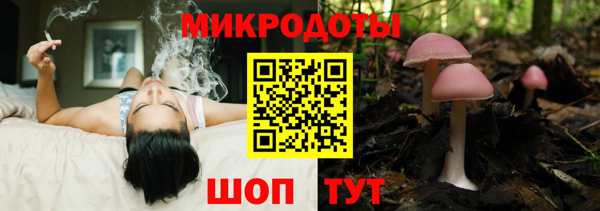 Псилоцибиновые грибы GOLDEN TEACHER Минеральные Воды